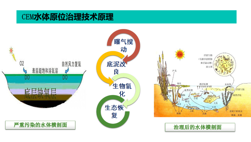 CEM水體原位治理技術-2-1.png